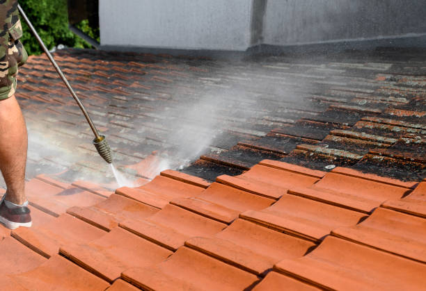 Best Residential Pressure Washing Services  in Thruston, KY