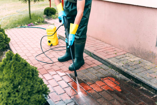 Best Pressure Washing Driveway  in Thruston, KY