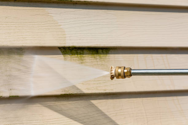 Best Exterior Home Cleaning  in Thruston, KY